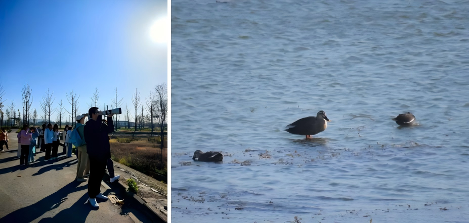 WPS拼图6_3156WPS拼图6