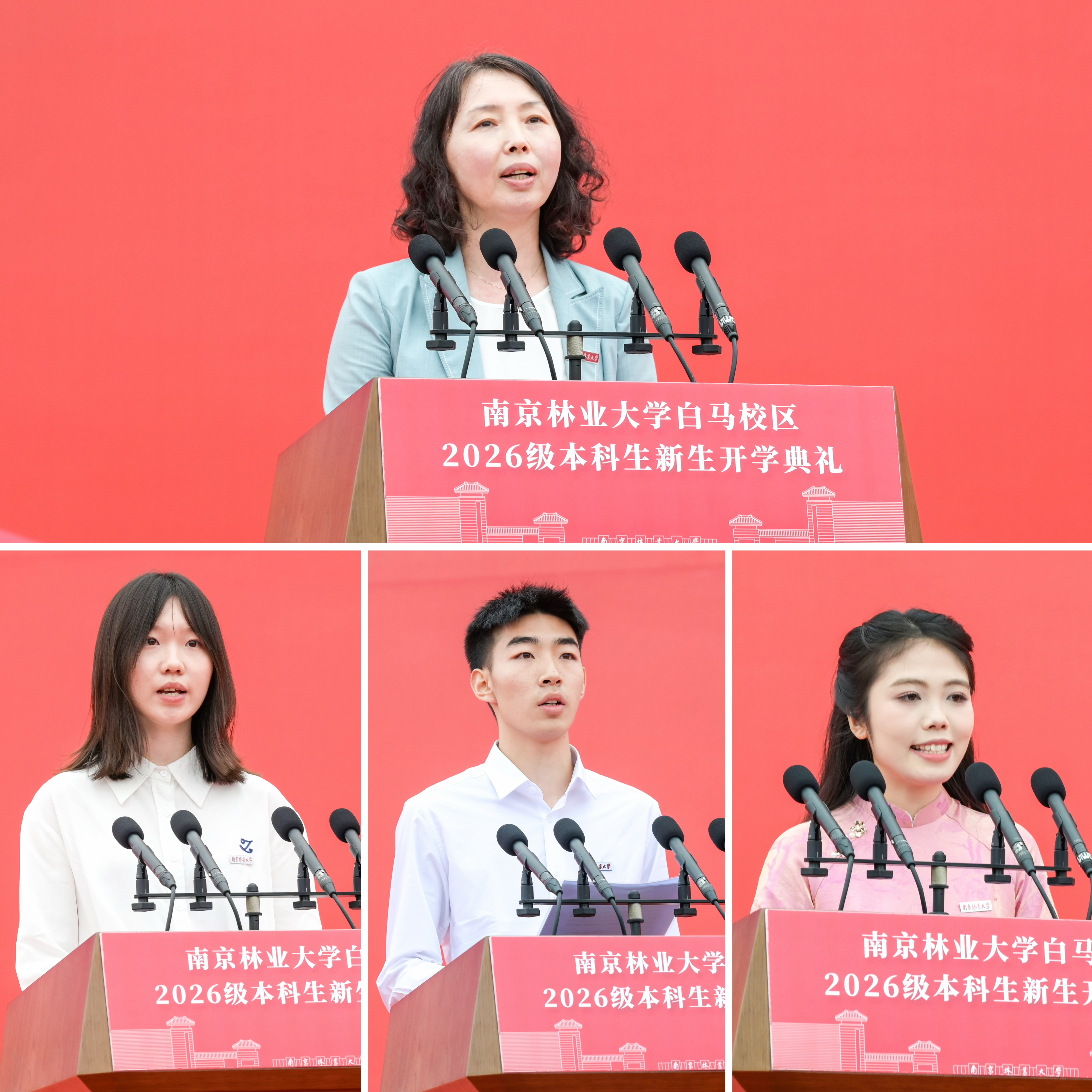 图片5_29871图片5