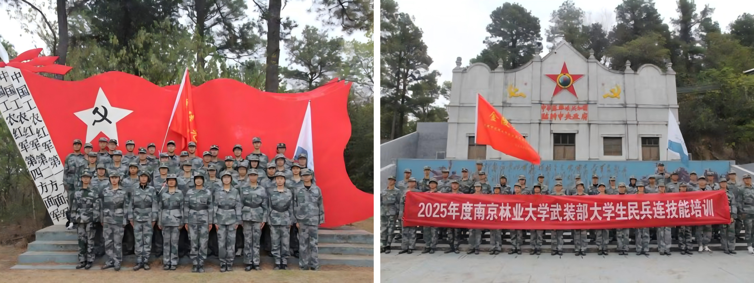 WPS拼图0_26052WPS拼图0