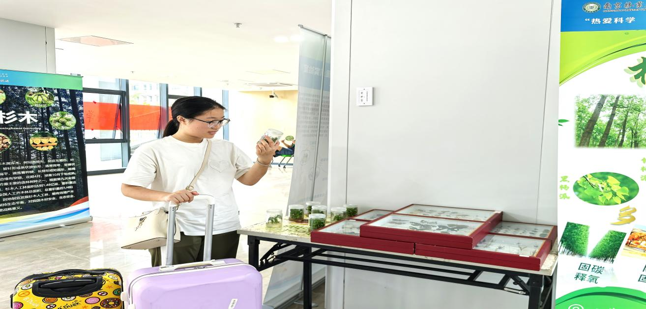 图片 9_24836图片 9