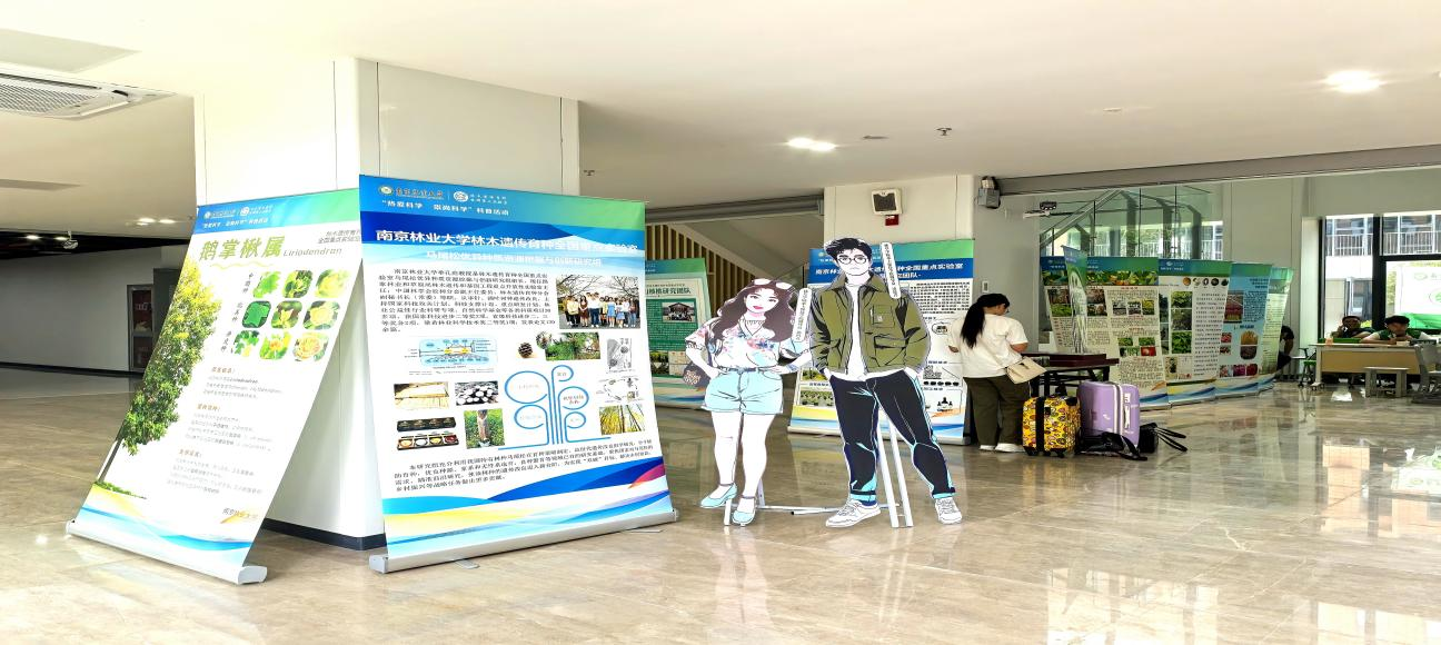 图片 4_19749图片 4